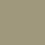anotic bronze